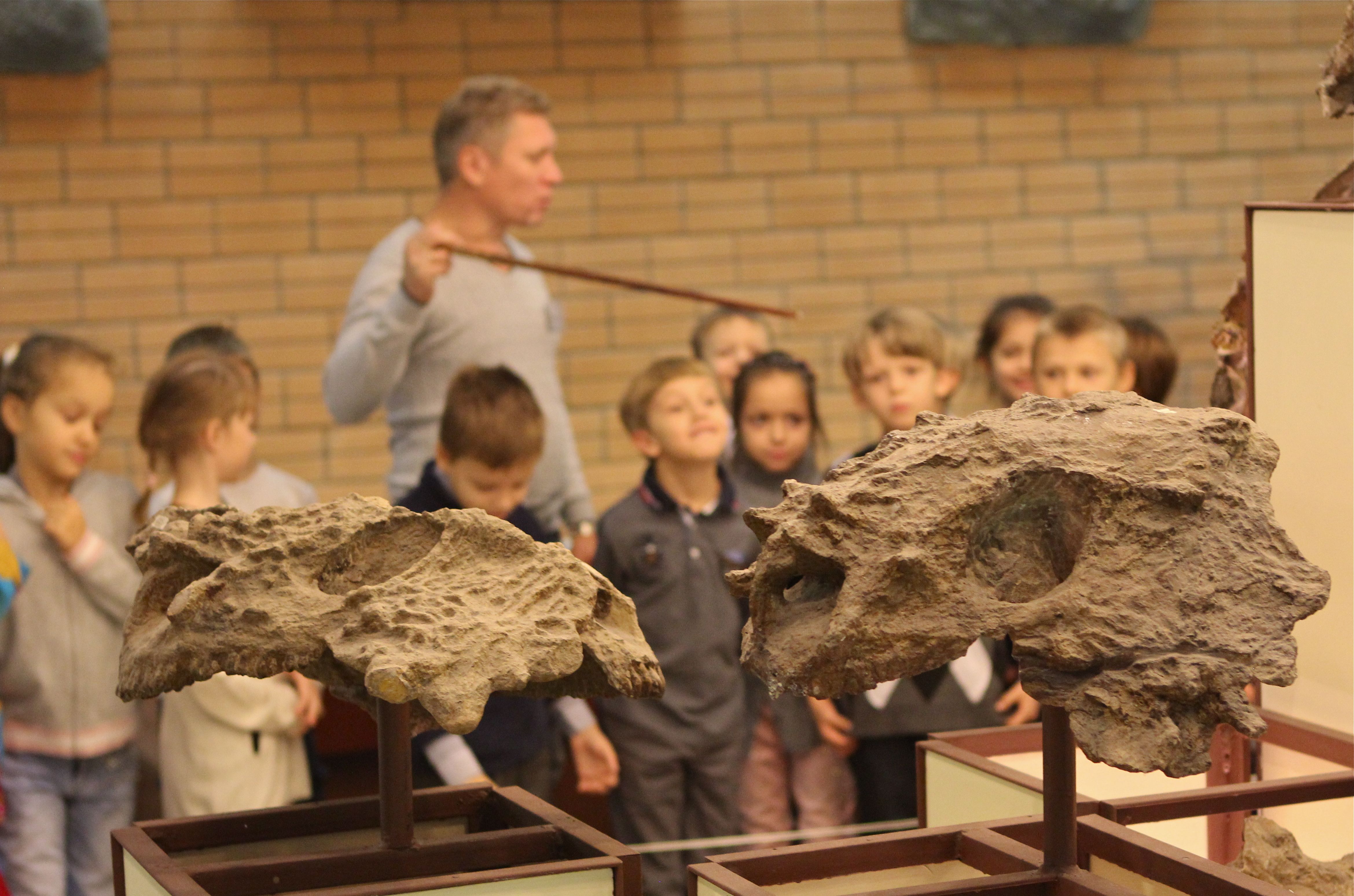 киров палеонтологический музей